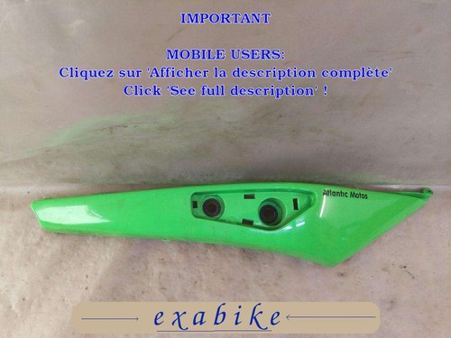 Flanc carenage arriere - flanc, de