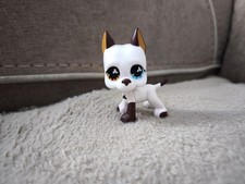 Authentique Littlest Pet Shop