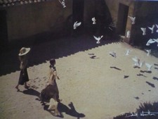 Carte Postale   DAVID  HAMILTON   Format 12x17cm  Postcard CP