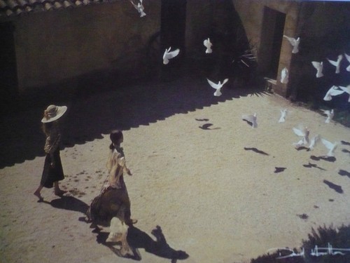 Carte postale david - carte,
