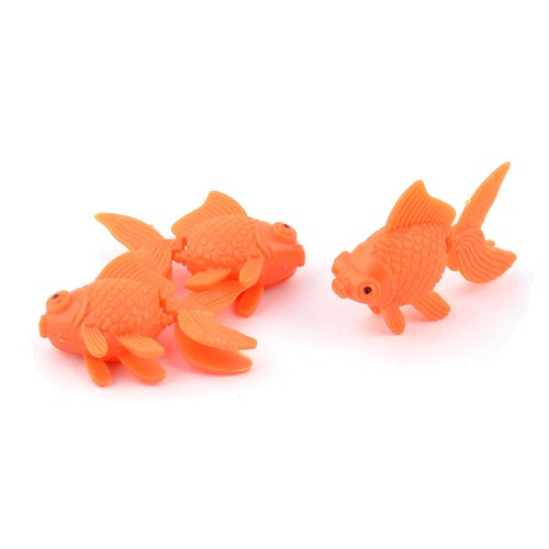 Aquarium poisson - poisson,