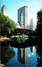 Central Park New York City New York Scenic Downtown Skyline Chrome Postcard