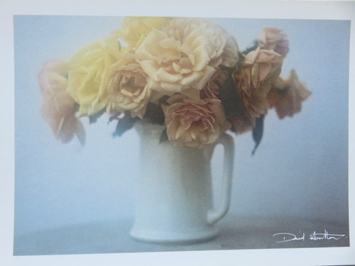 Carte postale david - carte,