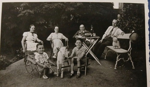 Famille agneau - famille, l'agneau