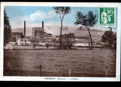 Premery bovins en - (58),
