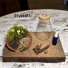 8" Long balloon DIY terrarium kit - led terrarium - shelf-sustaining terrarium