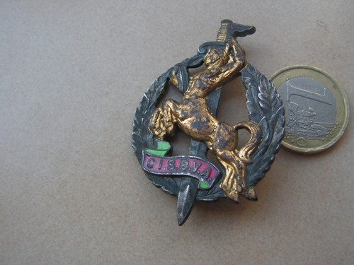 Insigne militaire - insigne,