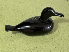Oiseau canard noir collection
