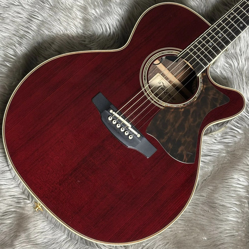 Guitare électrique acoustique