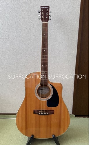 Guitare électro acoustique - guitare, électro-acoustique