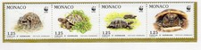 Monaco 1991 la tortue