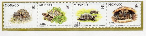 Monaco 1991 tortue - la,