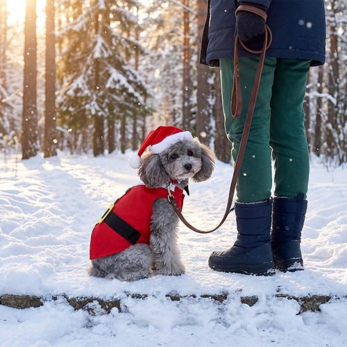 Déguisement noël pour - de,