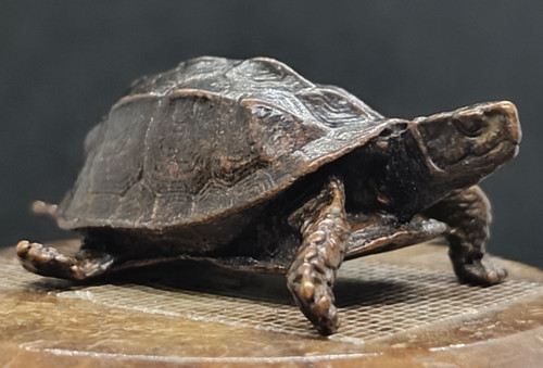 Ancienne sculpture tortue - , en
