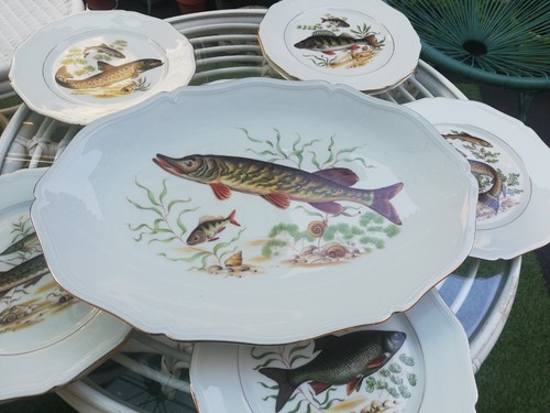 Service poissons en - poissons,
