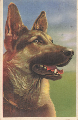 Illustrated portrait german - illustrated,