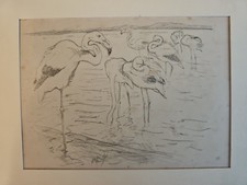 XIXe RARE Estampe Gravure