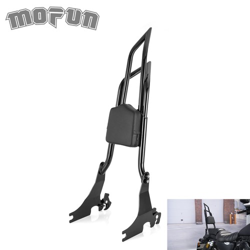 Detachable sissy bar - sissy,