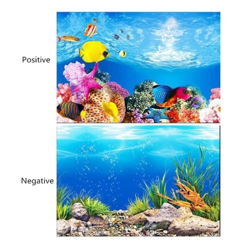 Aquarium fond double face - aquarium, double-face