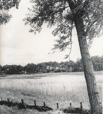 ÉTANG DE LACANAU c. 1937 -