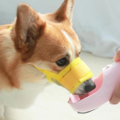 Muselière chien respirante - muselière,