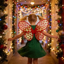 Ailes de papillon en forme de