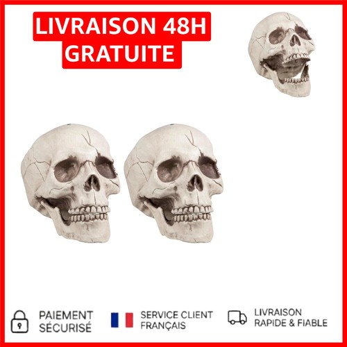 Crânes multicolores halloween - crânes,