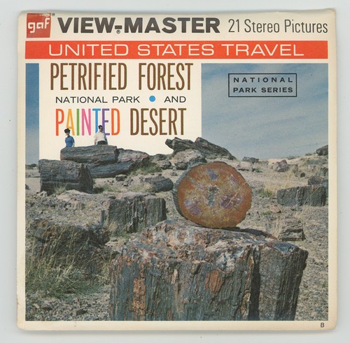Parc national petrified - petrified, forest
