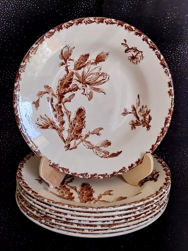 Porcelaine opaque - porcelaine, de