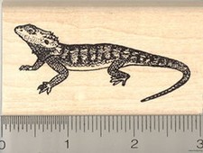 Bearded Dragon Rubber Stamp
