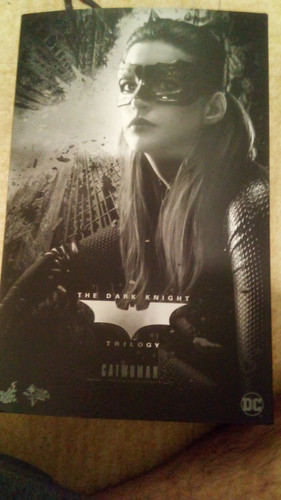 Catwoman hot toys - 2.0,
