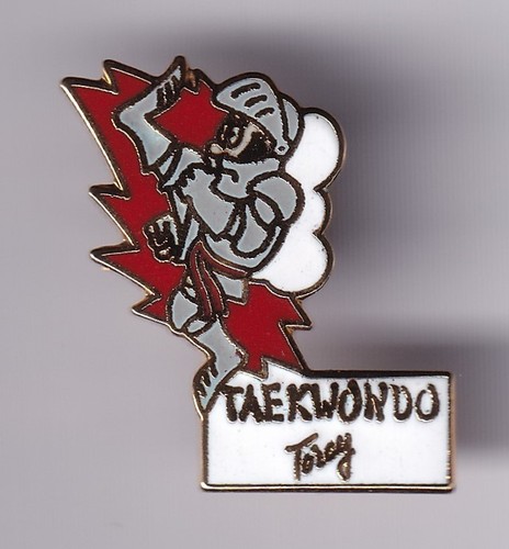 Rare pins pin sport judo - rare,