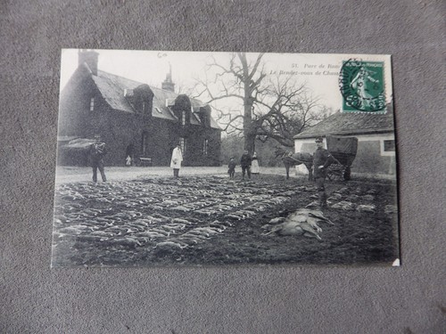 Cpa chasse courre en - cpa,