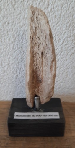 Collection préhistoire - préhistoire, os