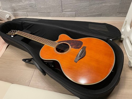 Guitare électrique acoustique
