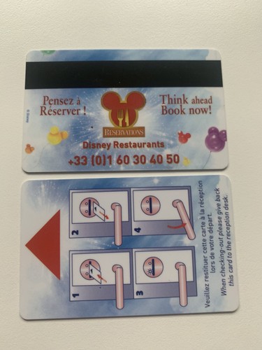 Clé passeport disneyland - passeport,