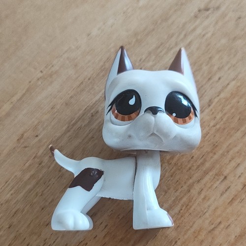 Hasbro littlest pet - hasbro, shop
