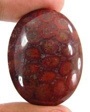 Cabochon De Pierre En Corail