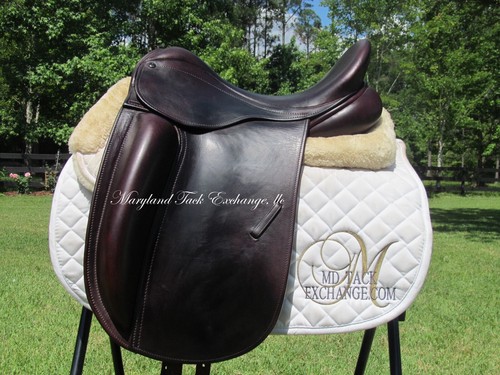 County fusion dressage - fusion,