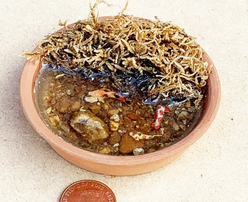 Maison poupées rond - maison,