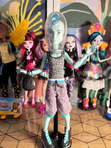 Monster high gil webber - -,