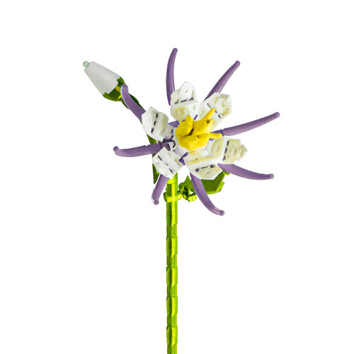 Fleur tige ancolie des alpes - tige,