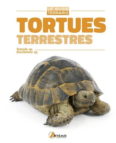 Tortues terrestres j - tortues,