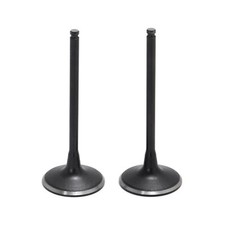 Paire Soupape d' admission