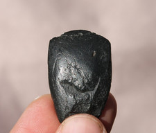 Préhistoire Néolithique