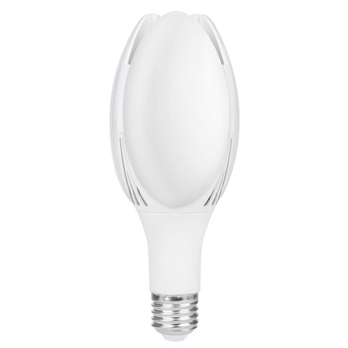 Ampoule led fleur 50w - ampoule,