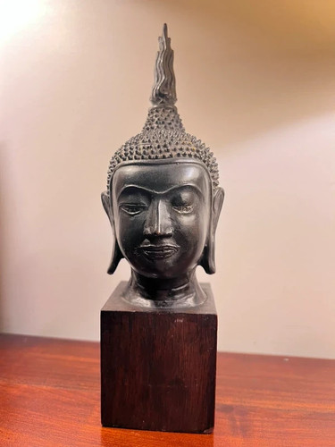 Buste tête buddha - buste,