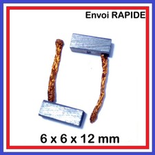 Lot de 2 Balais de Charbon 6 x