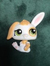  ›petshop rabbit Aries 1417 ?