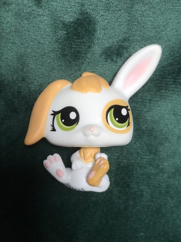 Petshop lapin bélier - lapin,